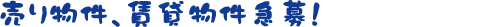 蕨Aݕ}I